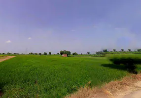 Jagannathprasad, Odisha 761121, India preview 3