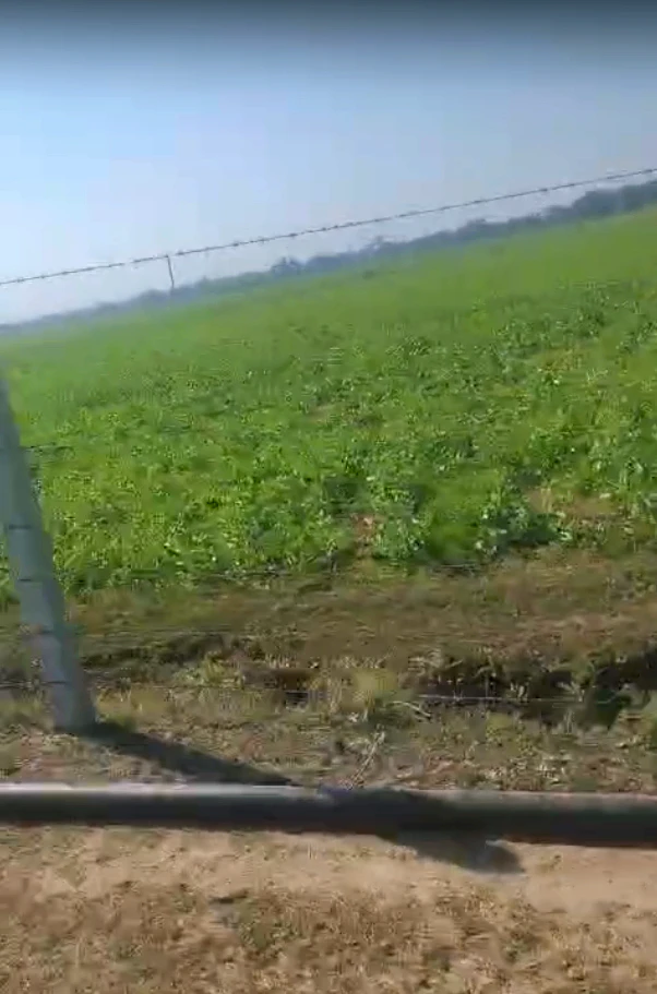 MWM8+JCP, Sadashivpura at Yarlipura, Rajasthan 303903, India