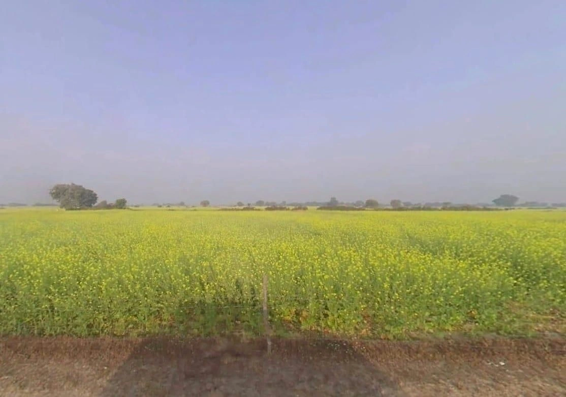 9J55+74 Mohani, Rajasthan, India