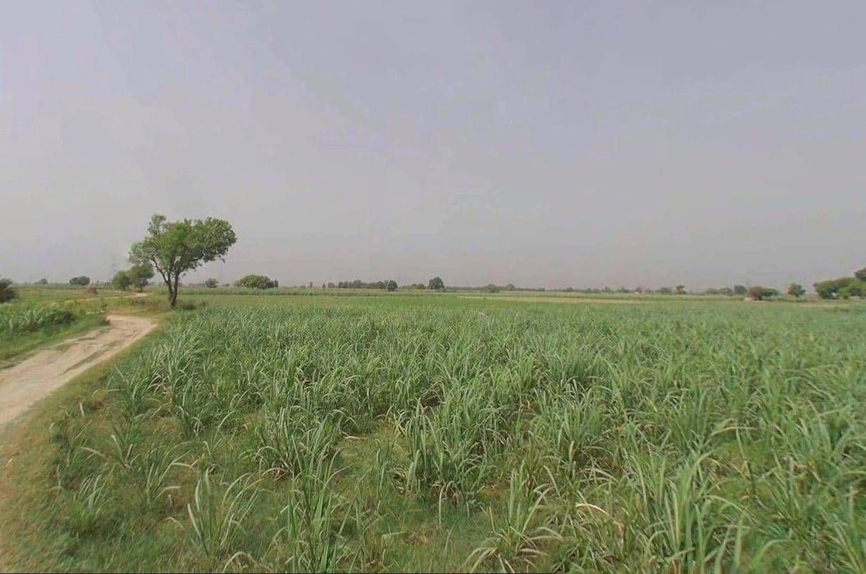 QQQ5+679, Ram Garhi Rd, Kaili, Uttar Pradesh 245206, India