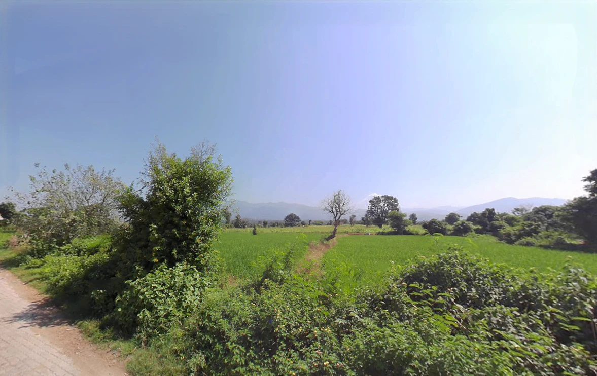 Chikan, Haryana 134102, India