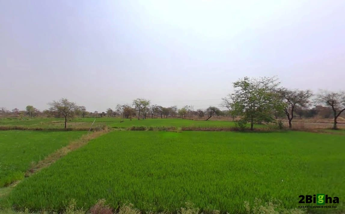 Gobra, Chhattisgarh, India