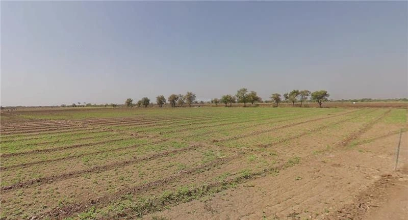 Derdi, Gujarat, India