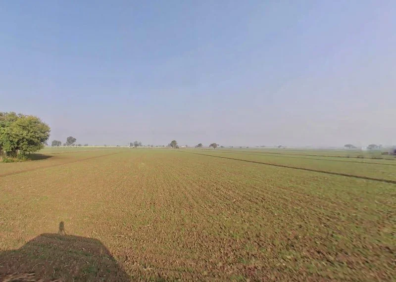 7RF7+339, Deloonda, Rajasthan 323021, India preview 3