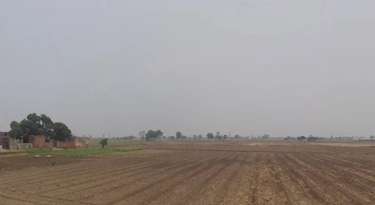 Rajpura, Punjab, India