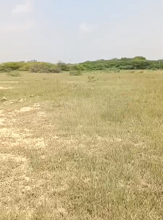 FF28+79 Telkapally, Nagarkurnool, Telangana, India