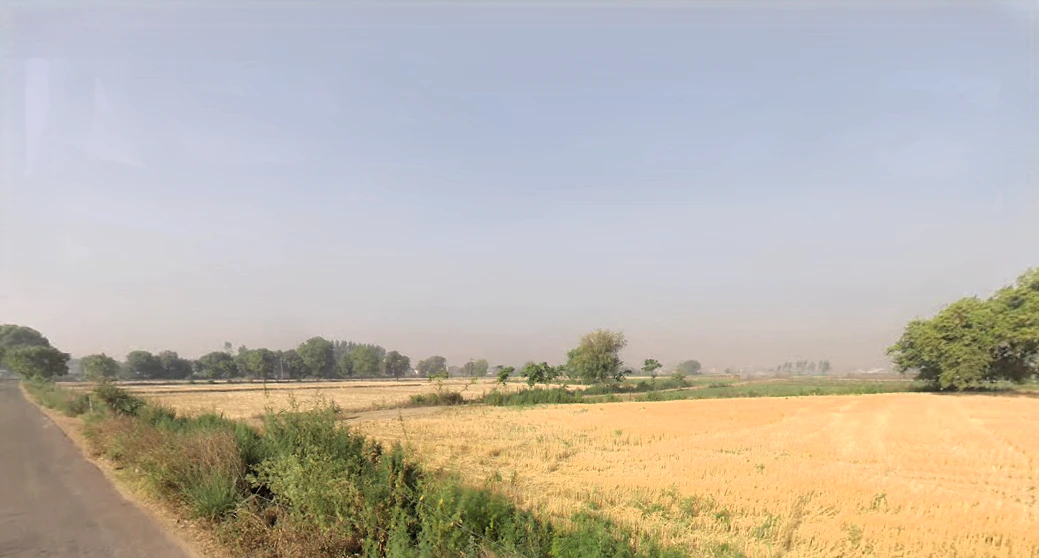 Mandhawali, Haryana 121101, India