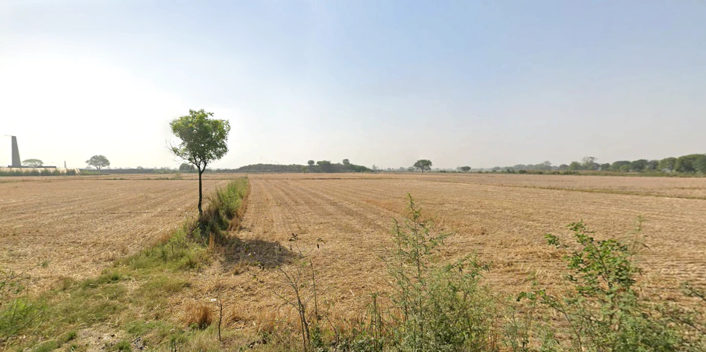 Barhana, Haryana 124107, India