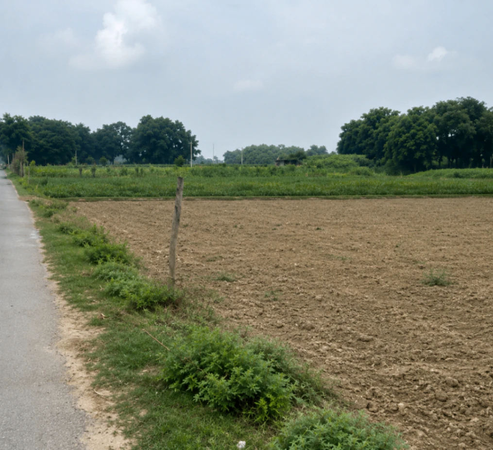 FW7Q+HXV, Varanasi, Basawn, Uttar Pradesh, India