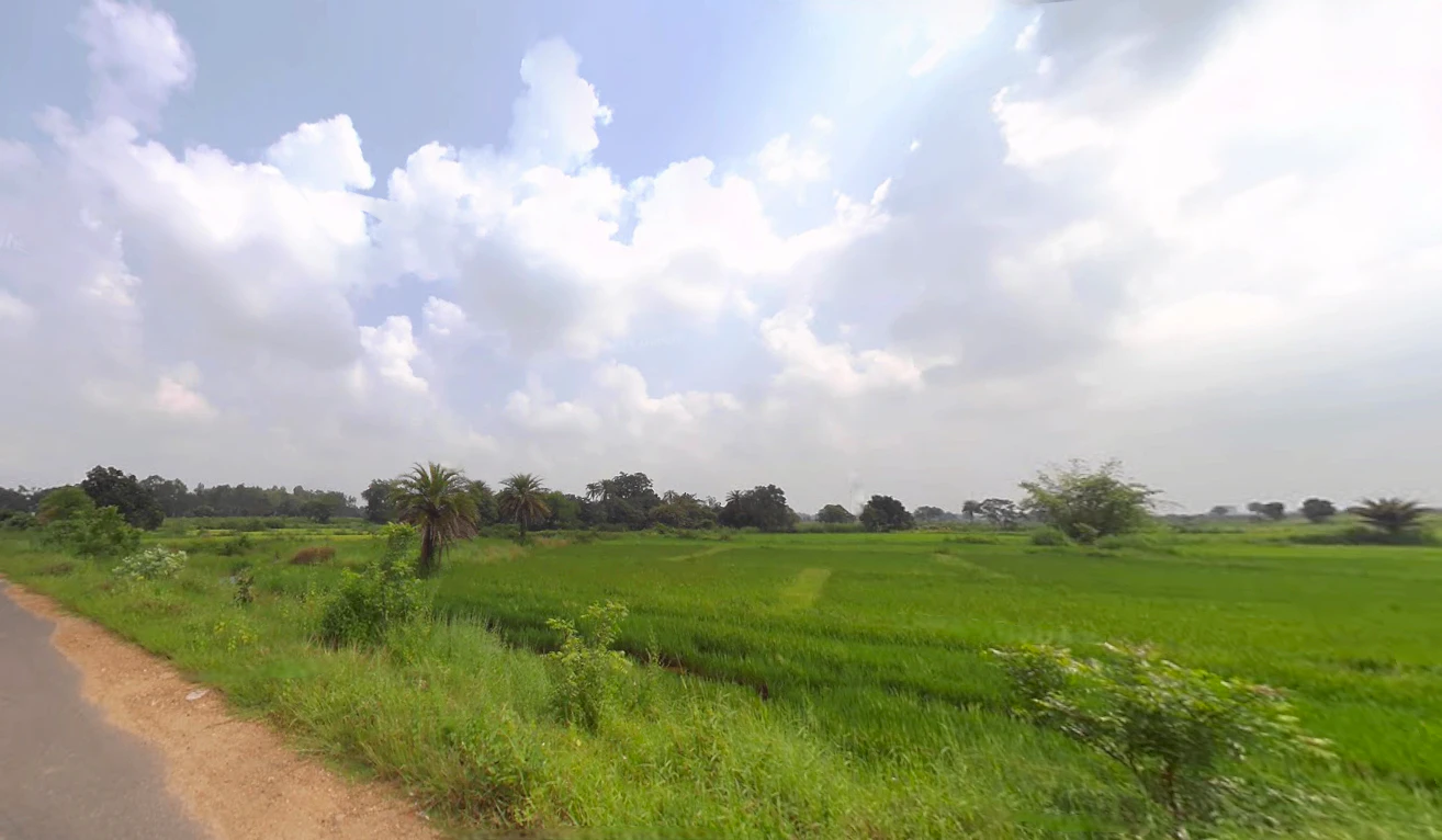 Kiritmal, Odisha 768226, India