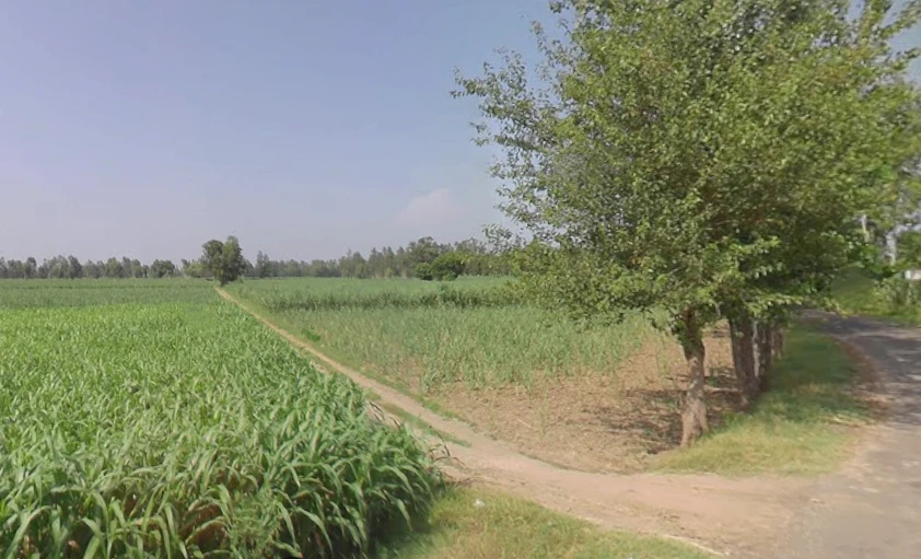 Datiyana, Uttar Pradesh, India