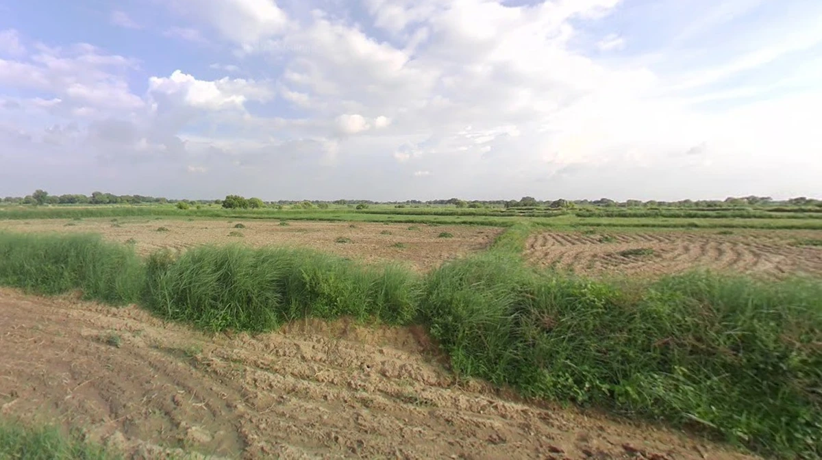 Nawagarh, Chhattisgarh 491337, India