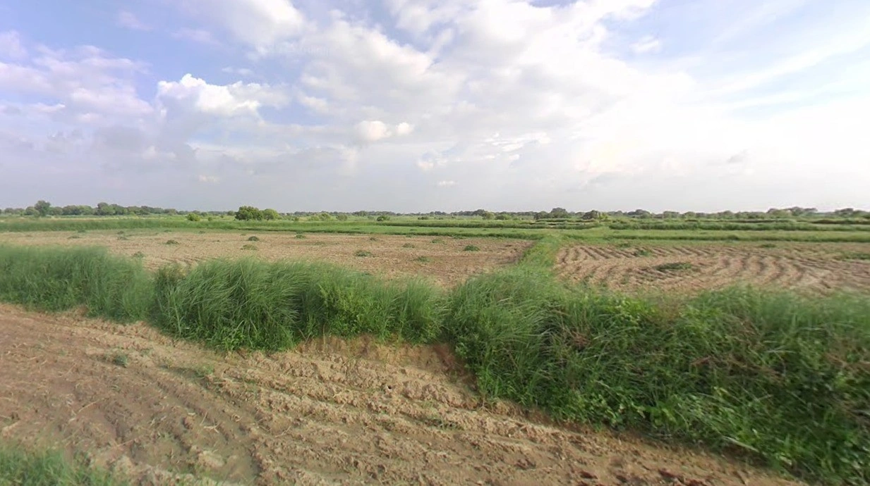 Nawagarh, Chhattisgarh 491337, India