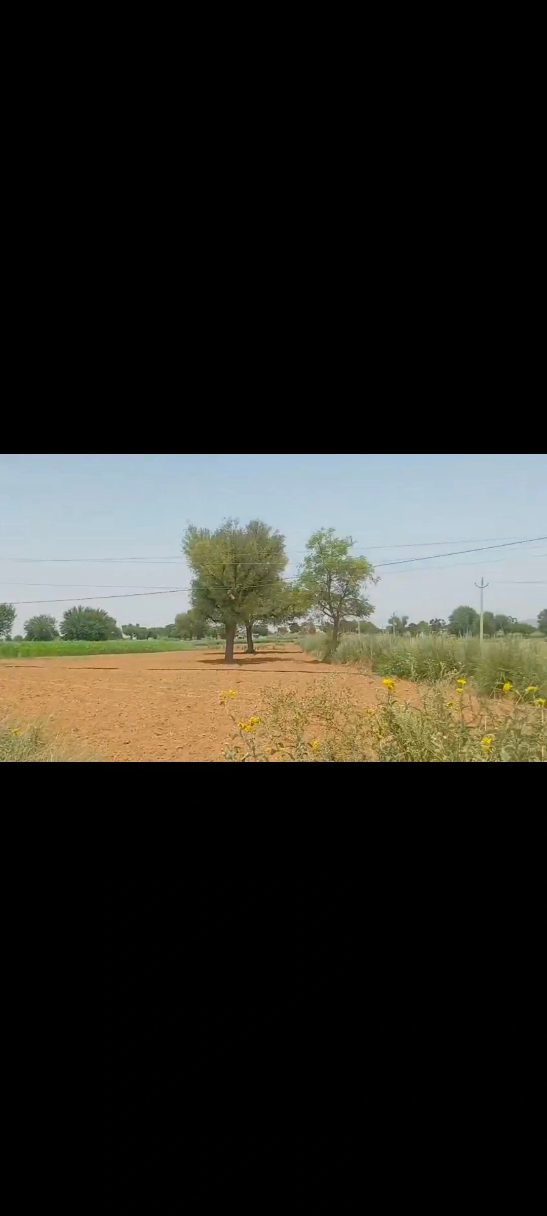 Jawanpura, Viratnagar, Kotputli-Behror, Rajasthan, India