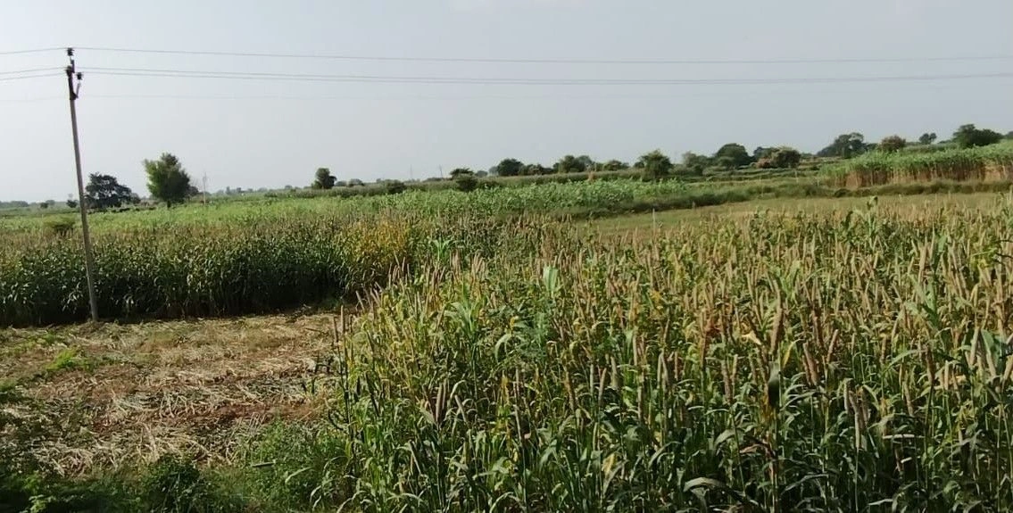 Bakhtpura, Rajasthan 301001, India