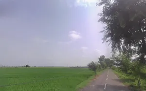 Kaithal, Haryana 136027, India preview 3