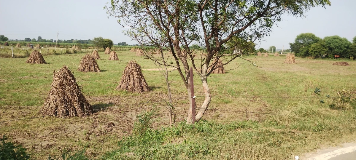Nagla Chahar, Rajasthan 321203, India