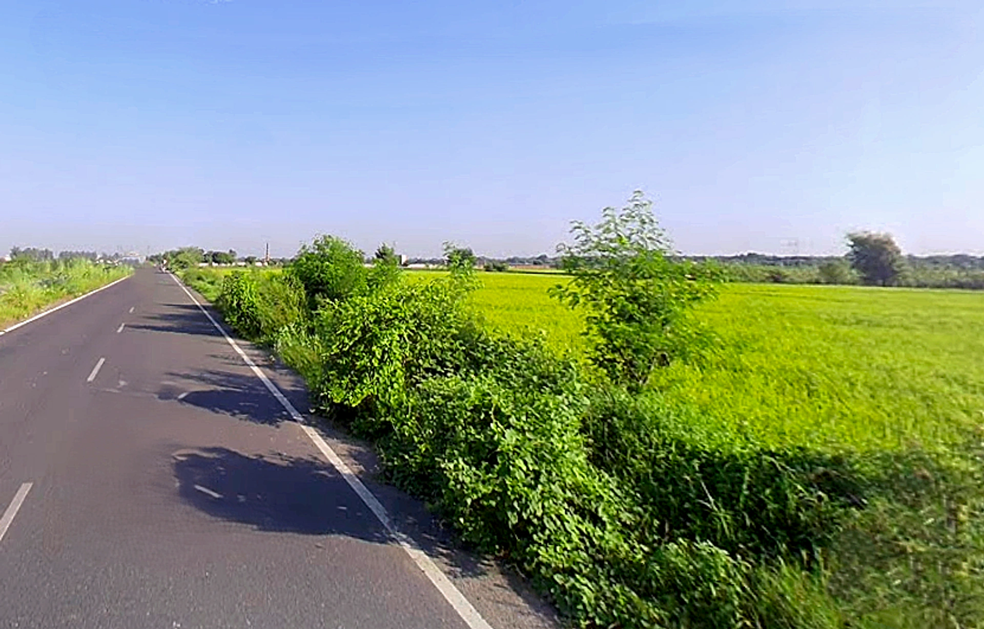 Sarol, Uttar Pradesh 202165, India