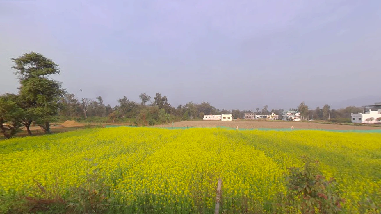 Vikasnagar, Uttarakhand, India