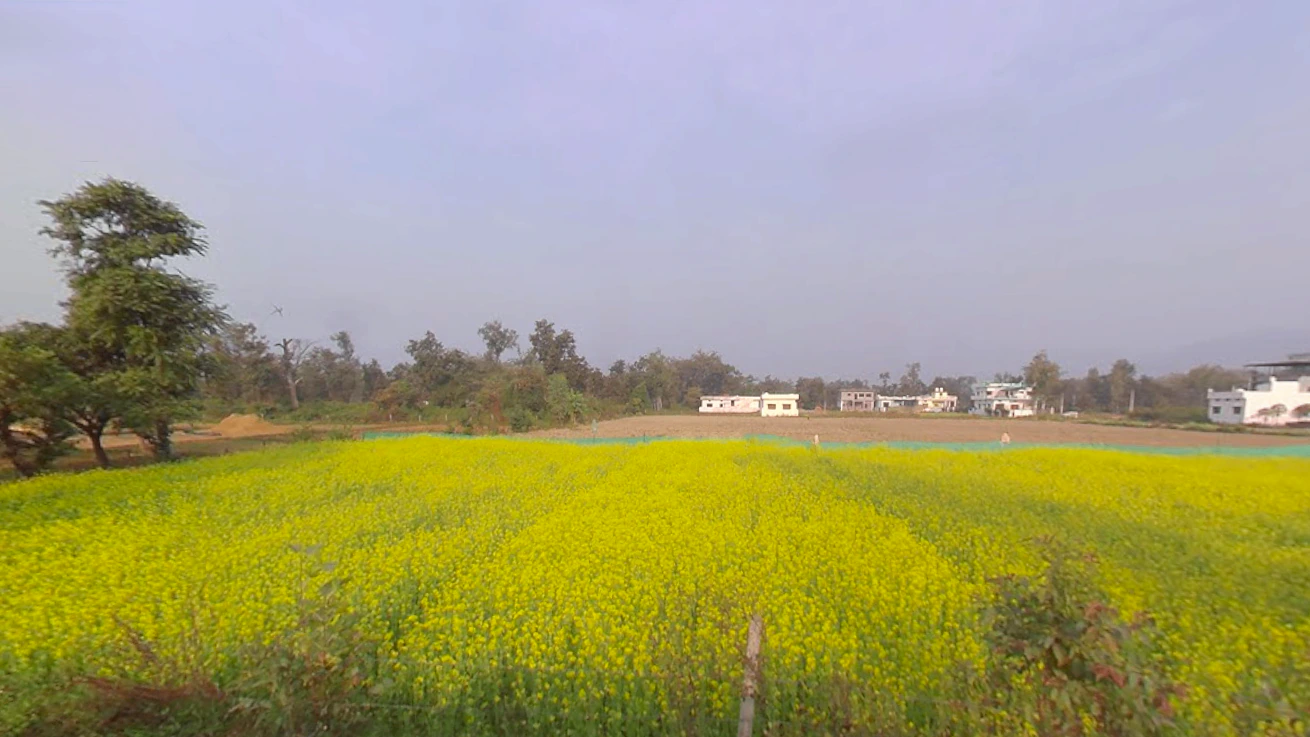 Vikasnagar, Uttarakhand, India
