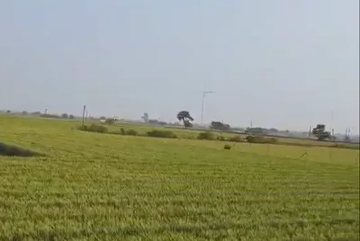 Sala Khedi, Ratlam, Madhya Pradesh 457001, India preview 2
