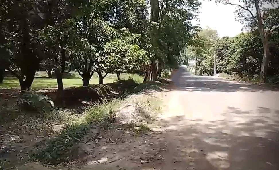 RMXC+RXM, Matriya, Uttar Pradesh, India
