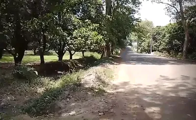 RMXC+RXM, Matriya, Uttar Pradesh, India preview 2