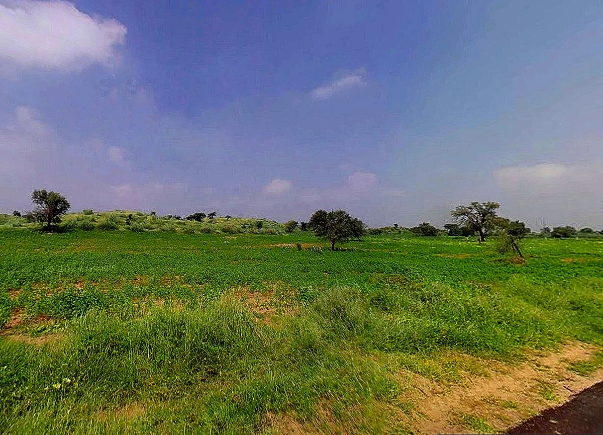Bihta-Sakaddi Rd, Modahi, Bihar, India