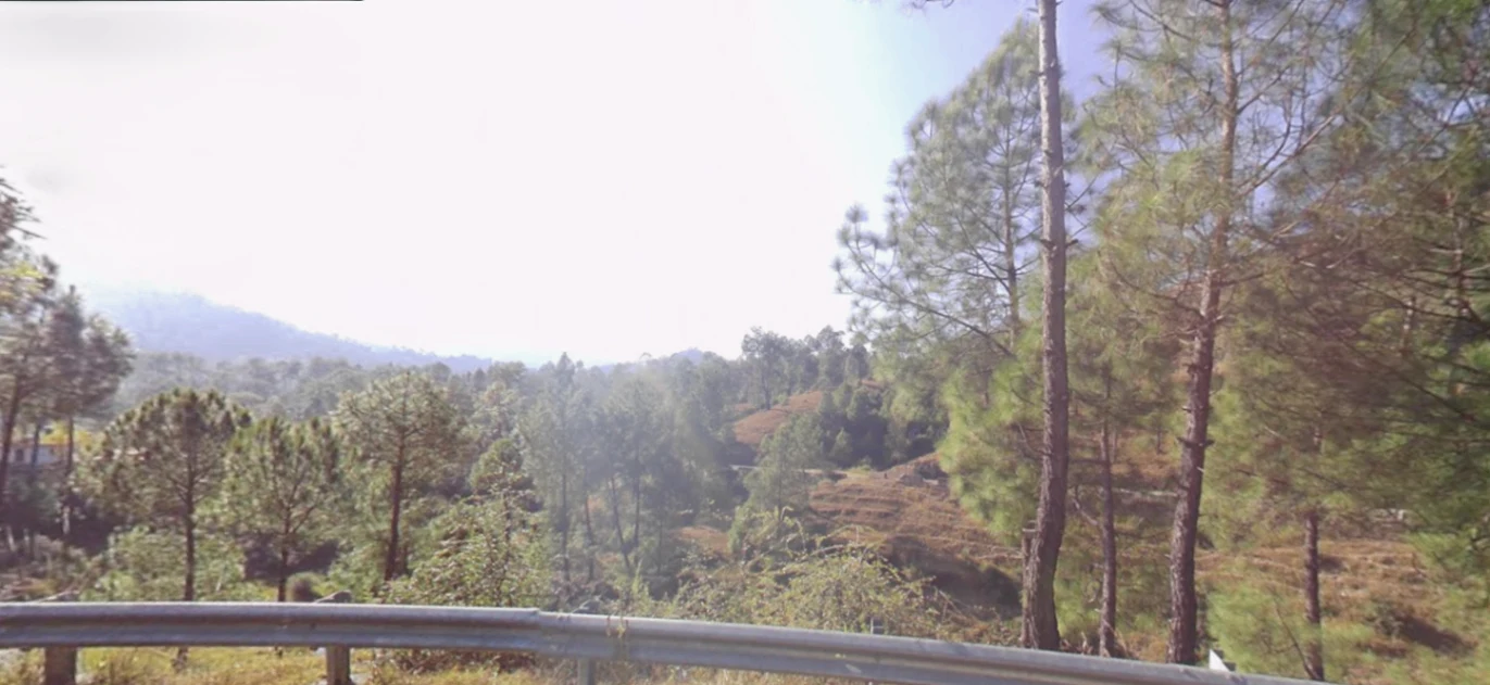 Tani, Uttarakhand 263643, India preview 2