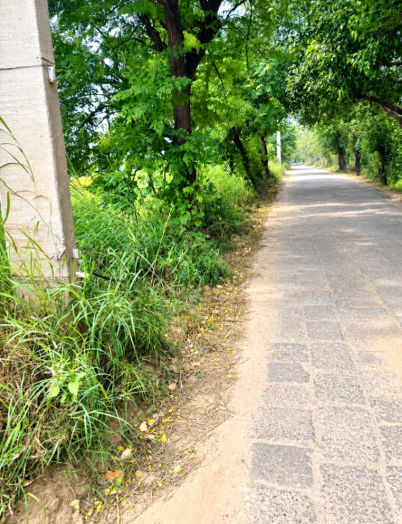 Kurali, Faridabad, Haryana 121101, India
