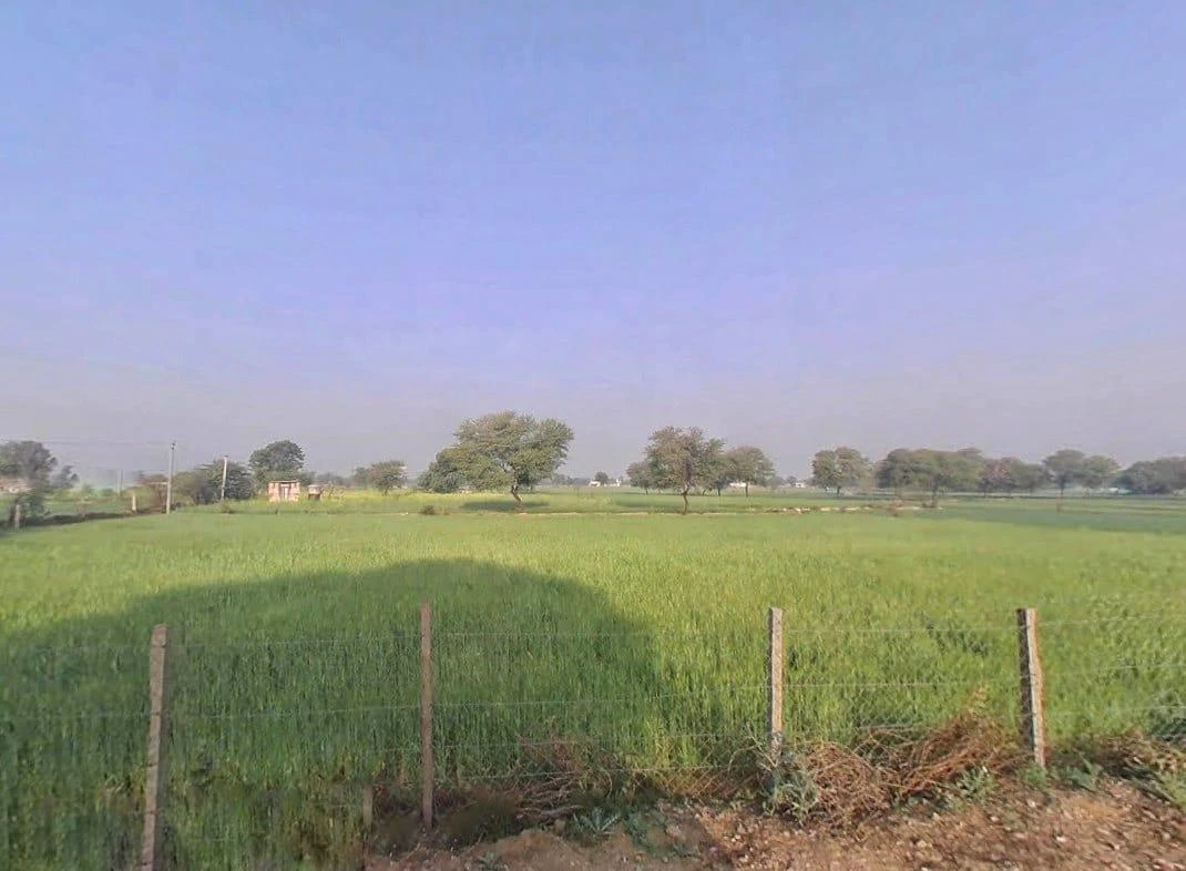 Q6F8+8GP, Lawan, Purbiyawas, Rajasthan 303004, India