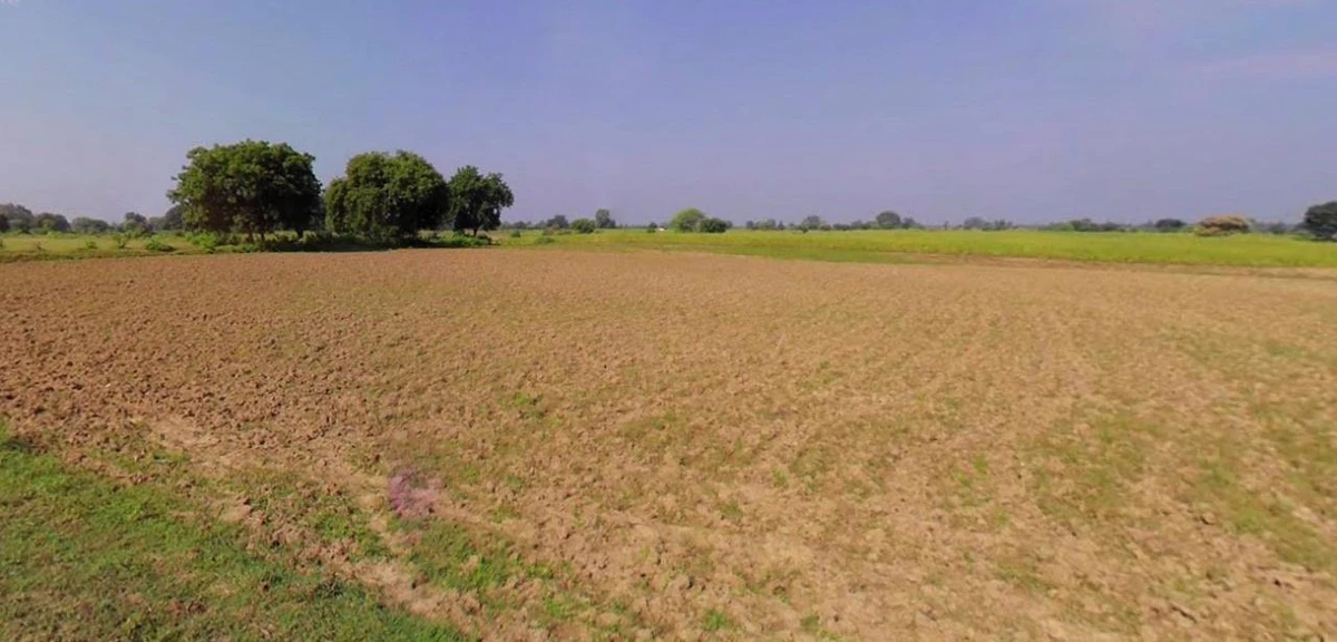 Barnagar, Madhya Pradesh 456771, India