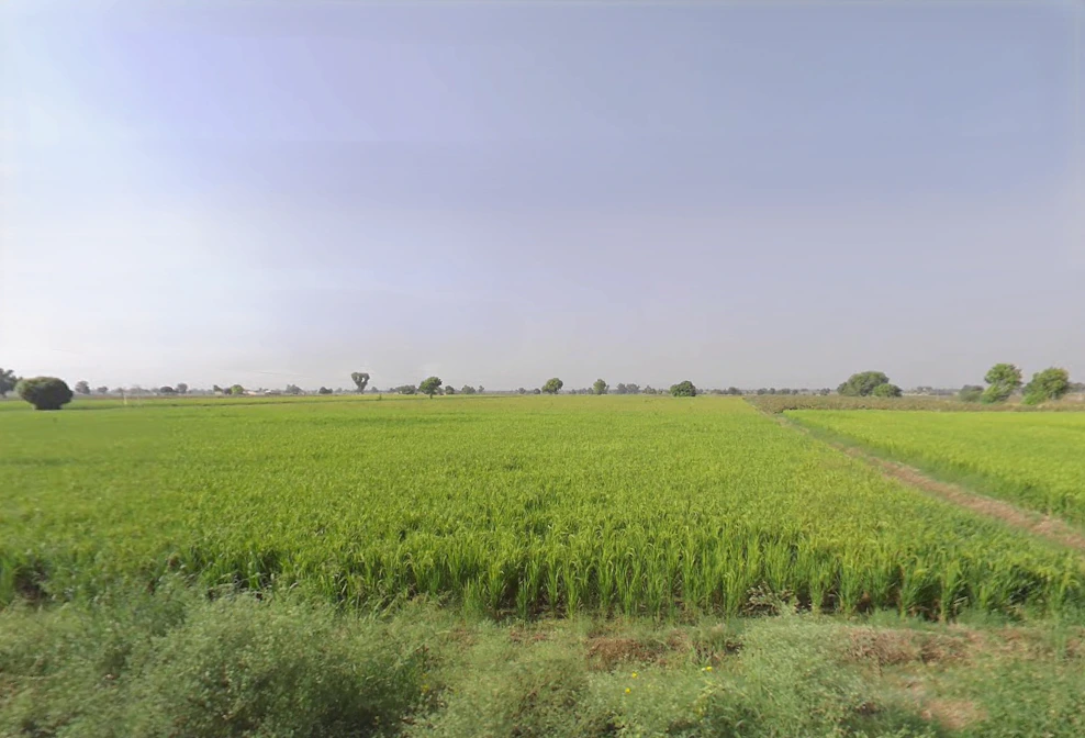 JP79+2QJ, Dhudhian Wali, Haryana 125075, India