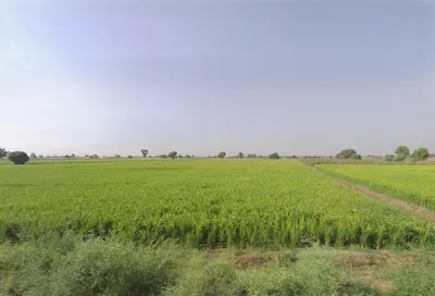 JP79+2QJ, Dhudhian Wali, Haryana 125075, India preview 2