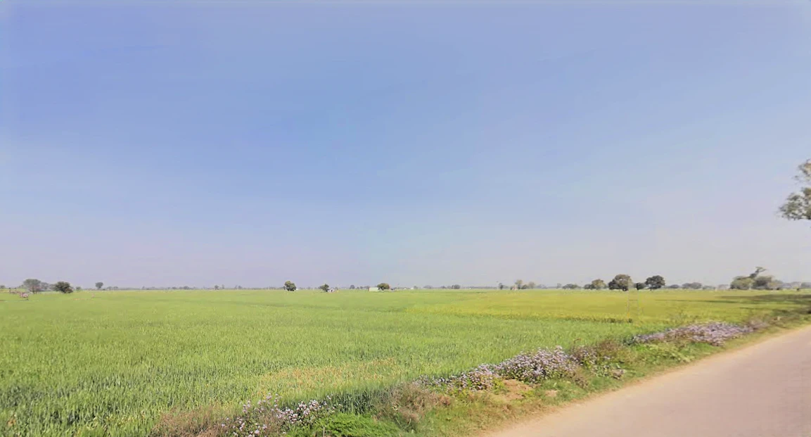 Sheikhpura, Haryana 131101, India