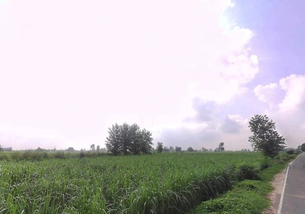 7RCC+H98, Tisang, Uttar Pradesh 251314, India