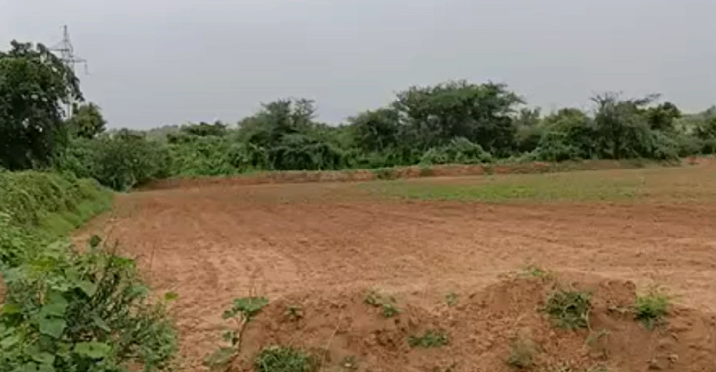 JJQX+35 Rangakui, Mahesana, Gujarat, India