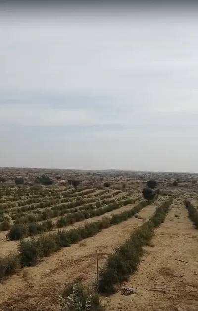 Gudli, Rajasthan 313024, India preview 2
