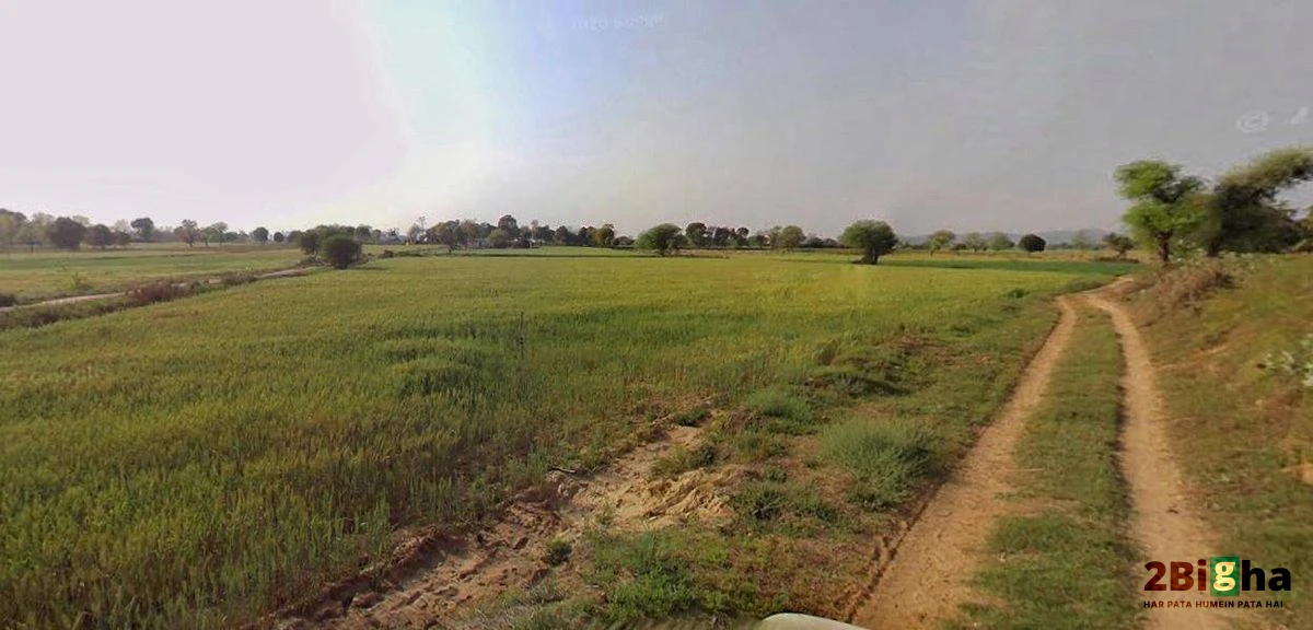Chhatarpur, Madhya Pradesh 471001, India
