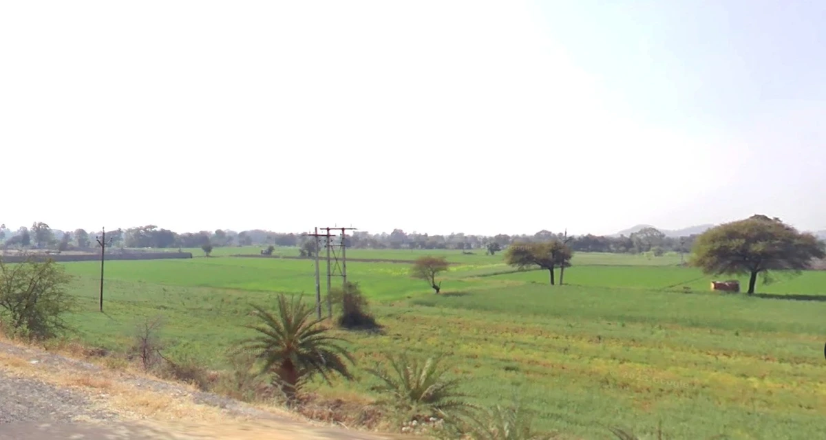GMG4+84C, Thawlay, Madhya Pradesh 453661, India