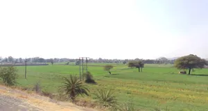 GMG4+84C, Thawlay, Madhya Pradesh 453661, India preview 2