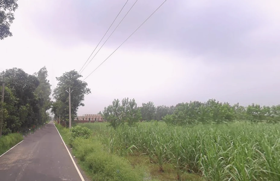 Pandoli, Uttar Pradesh, India