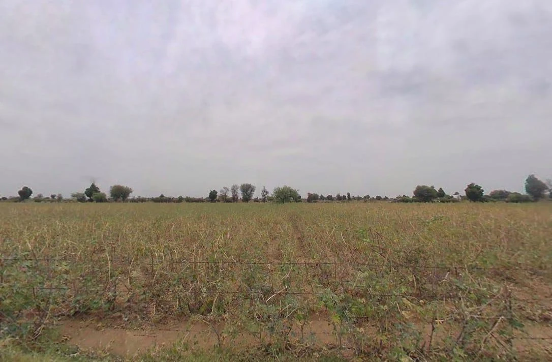 Barwa, Rajasthan, India