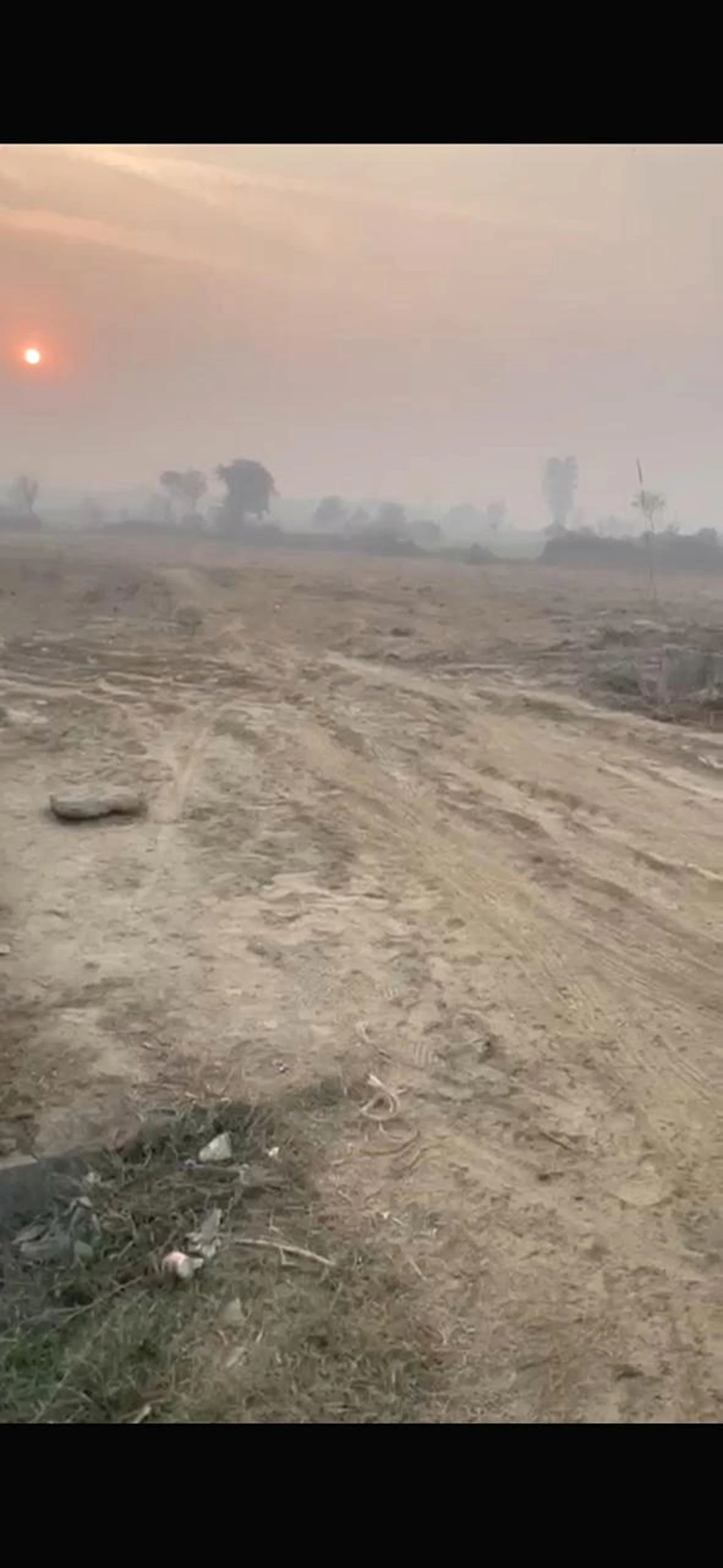 Tilbegumpur, Uttar Pradesh 203206, India
