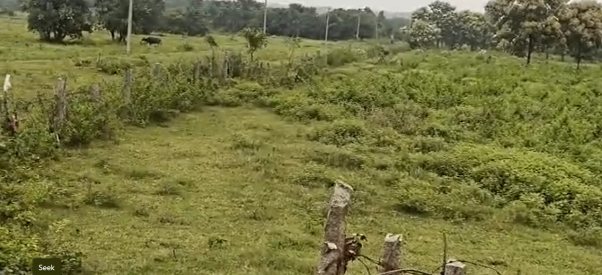 3JMR+GX Ladella, Hanumakonda, Telangana, India