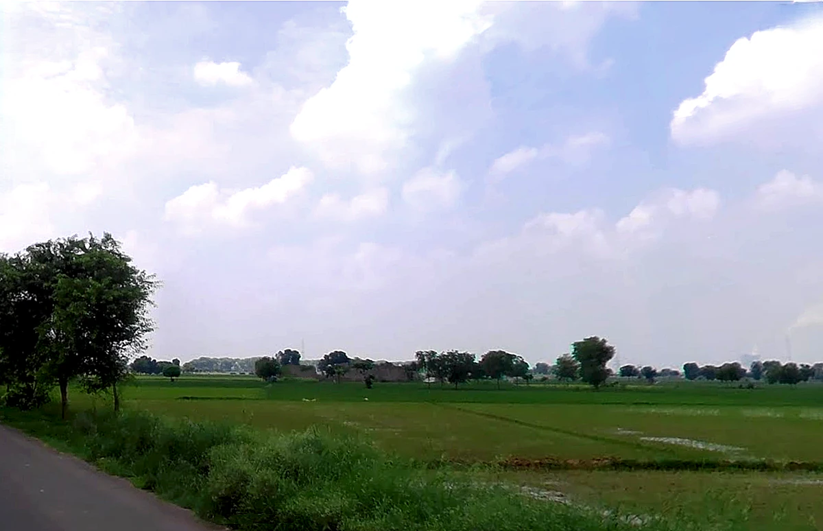 Barwala, Haryana 125121, India