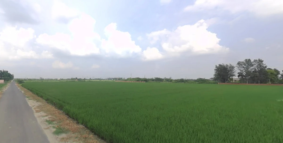 FH7V+G2 Chikhaliya, Gujarat, India