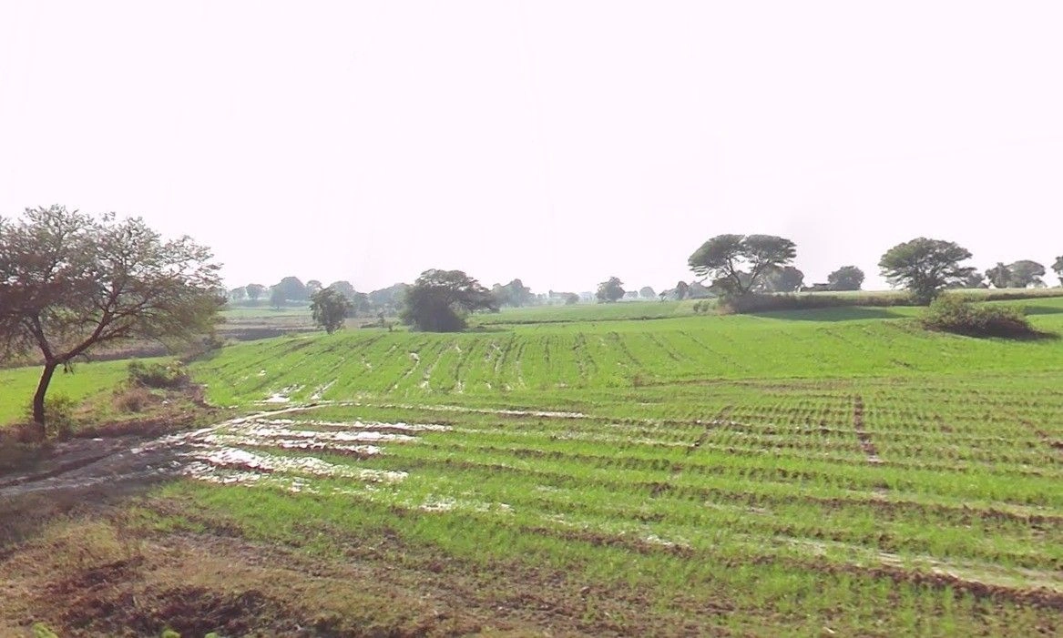 96WV+99X, Bordi, Madhya Pradesh 457777, India preview 3