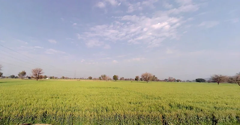 Ghat, Rajasthan, India preview 3