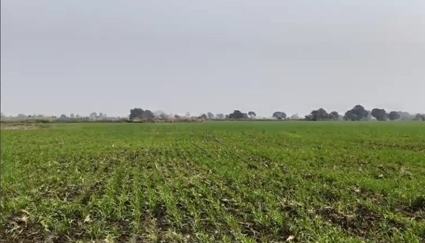 Keriakhedi, Madhya Pradesh 451224, India preview 2